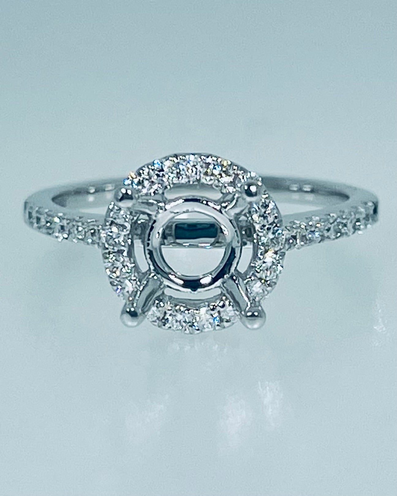 Semi-Mount Diamond Ring with Ring Guard